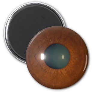 Braunes Auge Magnet