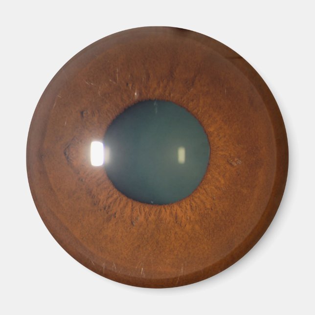 Braunes Auge Magnet (Vorne)