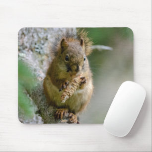 Braunes Eichhörnchen unter Zweigen - Kanadische Wi Mousepad