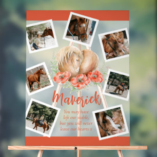 Braunes Foto Acrylschild