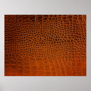 Braunes Krokodilleder Poster