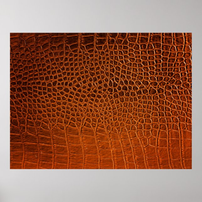 Braunes Krokodilleder Poster (Vorne)