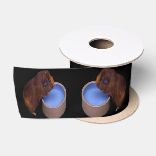 Braunes Meerschweinchen stehend trinkend, Satinband