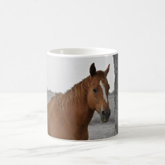 Braunes Pferd, B&W Hintergrund Tasse