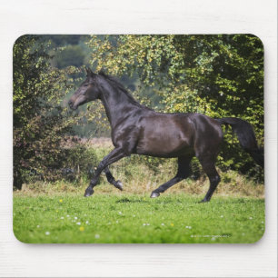 braunes Pferd, das auf Wiese läuft Mousepad