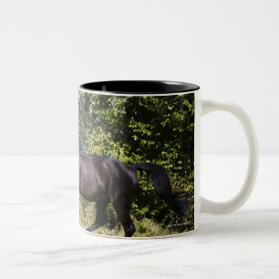 braunes Pferd, das auf Wiese läuft Zweifarbige Tasse