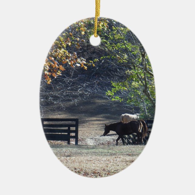 Braunes Pferd durch den Zaun Keramik Ornament (Vorne)