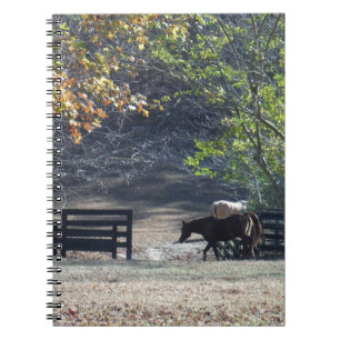 Braunes Pferd durch den Zaun Notizblock