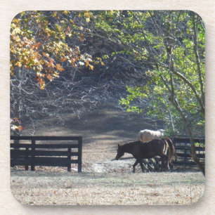 Braunes Pferd durch den Zaun Untersetzer