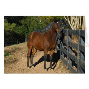 Braunes Pferd gegen einen Zaun