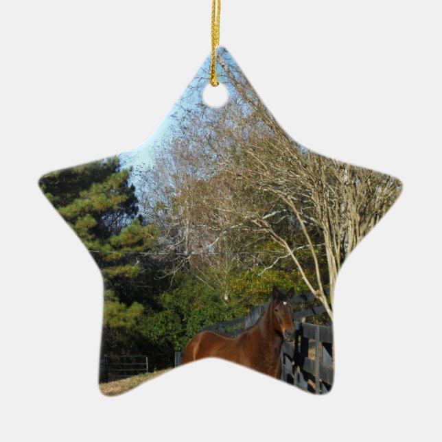 Braunes Pferd gegen einen Zaun Keramik Ornament (Vorne)