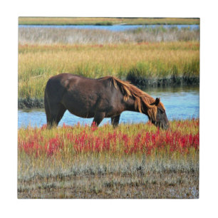 Braunes Pferd grast auf einer Wasserwiese Fliese