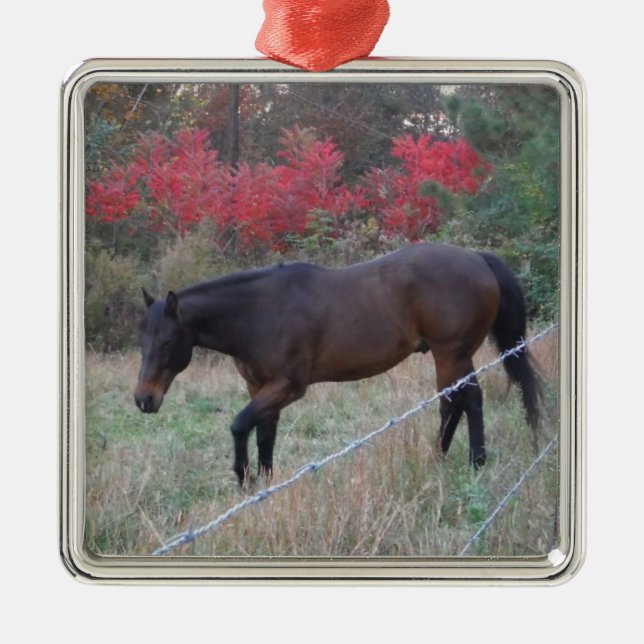 Braunes Pferd im roten Herbst Silbernes Ornament (Vorne)