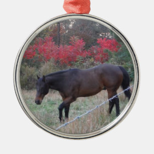 Braunes Pferd im roten Herbst Silbernes Ornament