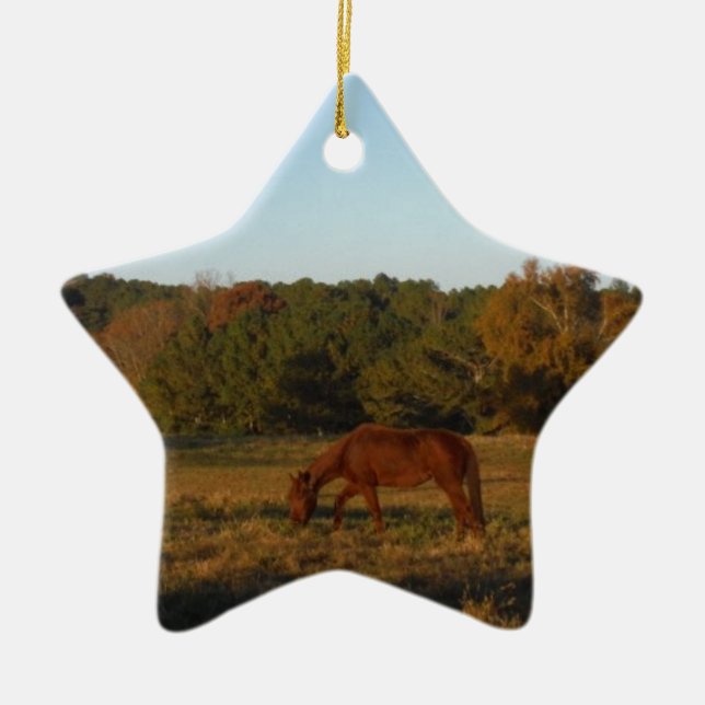 Braunes Pferd in der Sonne Keramik Ornament (Vorne)