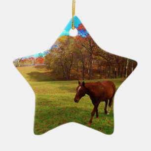 Braunes Pferd in einem Rainbow-farbenen Feld Keramik Ornament