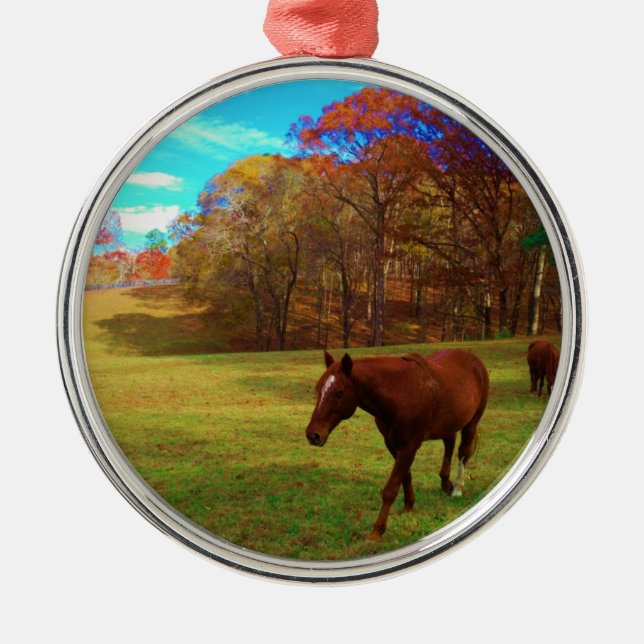 Braunes Pferd in einem Rainbow-farbenen Feld Ornament Aus Metall (Vorne)