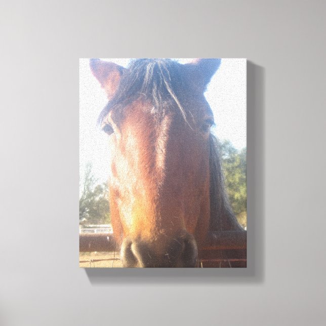 Braunes Pferd Liebe Leinwand (Vorderseite)