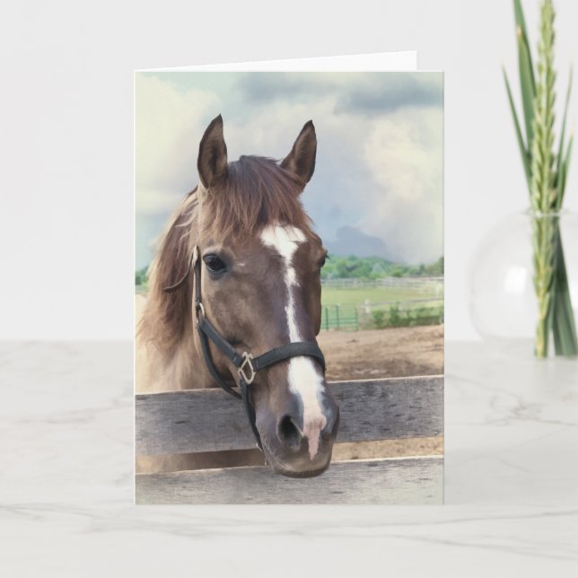 Braunes Pferd mit Bridle Note oder Grußkarte Karte (Vorderseite)