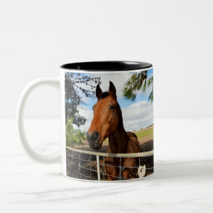 Braunes Pferd, Tulip genannt, Zweifarbige Tasse