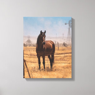 Braunes Pferd Windmühlenfeld Blauer Himmel Kunst Leinwanddruck