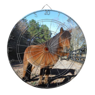 Braunes Pony Türkis Himmel Dartscheibe