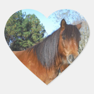 Braunes Pony Türkis Himmel Herz-Aufkleber