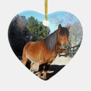 Braunes Pony Türkis Himmel Keramik Ornament