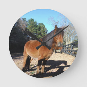 Braunes Pony Türkis Himmel Runde Wanduhr
