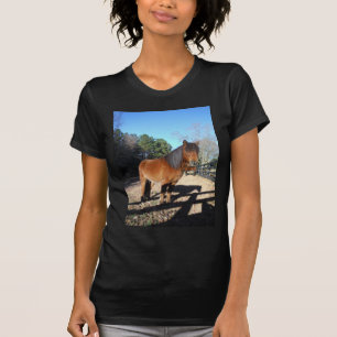 Braunes Pony Türkis Himmel T-Shirt