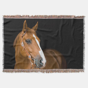 Braunes Quarter-Horse-Foto Decke