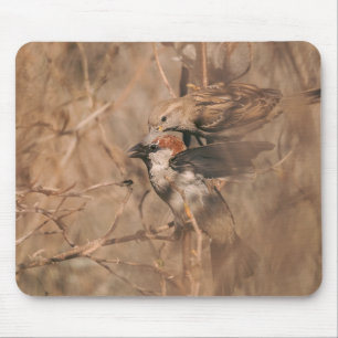 Braunes Sperlingsvögel Rustikale Waldlandschaft Wi Mousepad