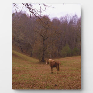 Braunes und blondes Pferd auf einem Feld Fotoplatte