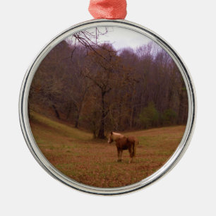 Braunes und blondes Pferd auf einem Feld Silbernes Ornament