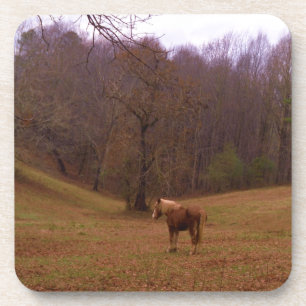 Braunes und blondes Pferd auf einem Feld Untersetzer