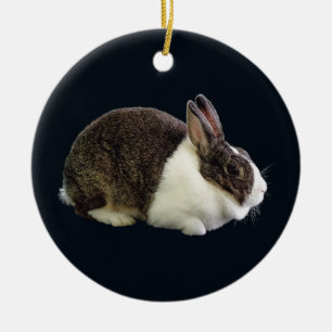 Braunes und weißes holländisches Rabbit Keramik Ornament