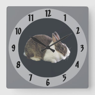 Braunes und weißes holländisches Rabbit Quadratische Wanduhr