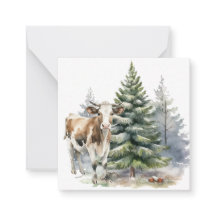 Braunes und weißes Kalb vor einem Kiefernbaum