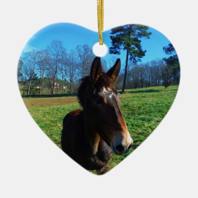 Braunes und weißes Maultier Keramikornament (Vorne)