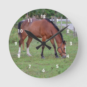 braunes und weißes Pferd, das pferdeartiges Tier Runde Wanduhr