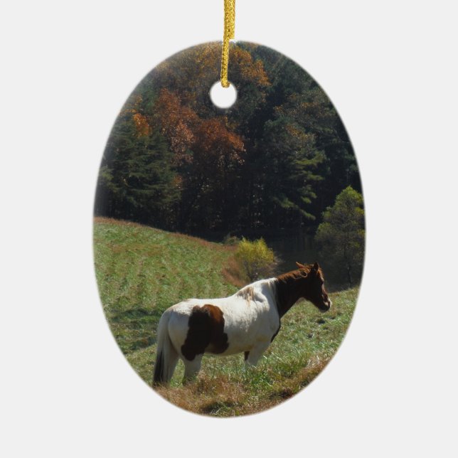 Braunes und weißes Pferd im Herbstteich Keramik Ornament (Vorne)