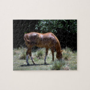 Braunes Weidepferd Puzzle
