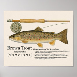 Braunforelle – Englischer Kunstdruck Poster
