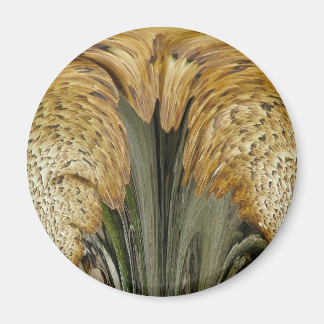 Braungestreifte Polstergarbe Magnet (Vorne)