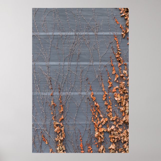 Braungetrocknete Blätter auf Wasser Poster (Vorne)