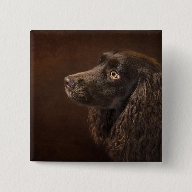 Braunhaarhund Button (Vorderseite)