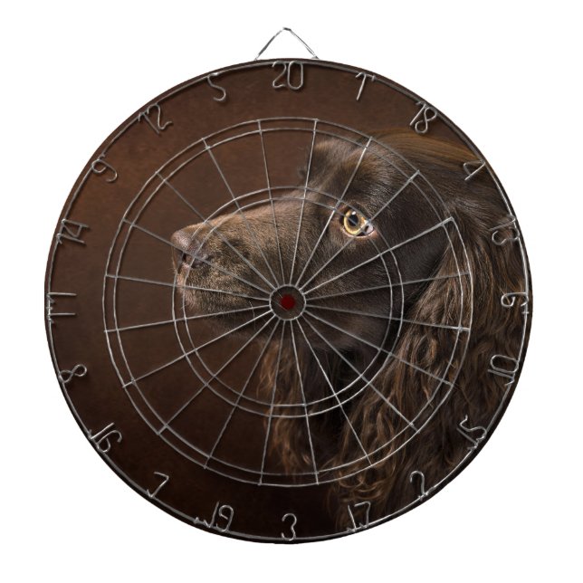 Braunhaarhund Dartscheibe (vorne)