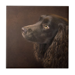 Braunhaarhund Fliese