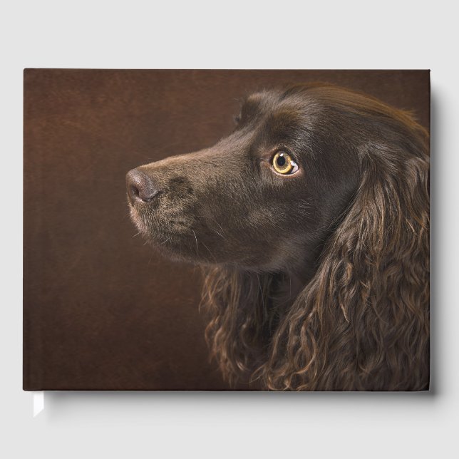 Braunhaarhund Gästebuch (Vorderseite)