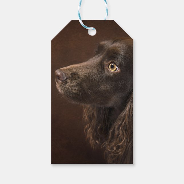 Braunhaarhund Geschenkanhänger (Vorderseite)